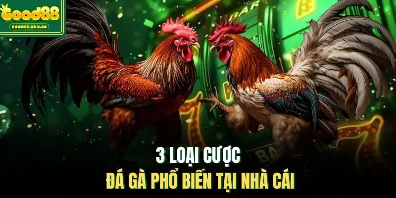 3 loại cược đá gà phổ biến tại nhà cái