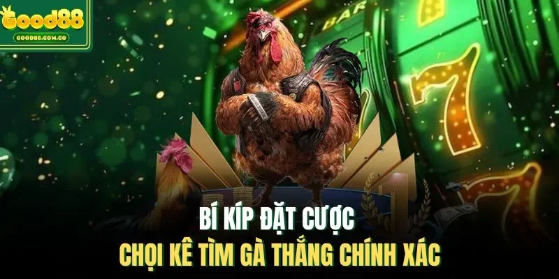Bí kíp đặt cược chọi kê tìm gà thắng chính xác