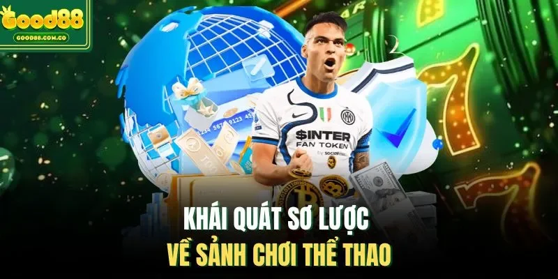 Khái quát sơ lược về sảnh chơi thể thao 