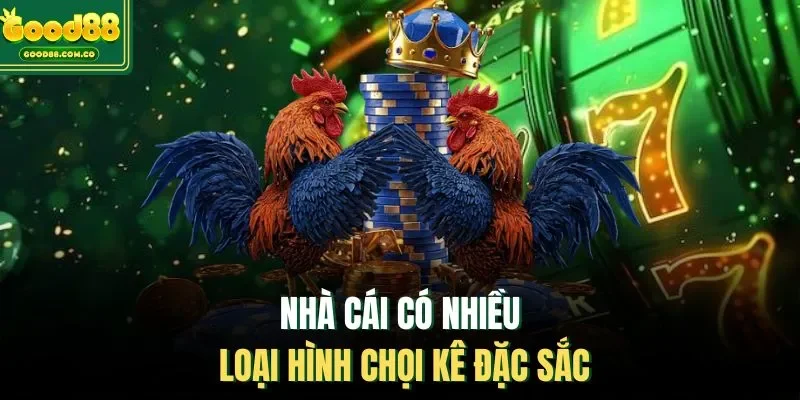 Nhà cái có nhiều loại hình chọi kê đặc sắc
