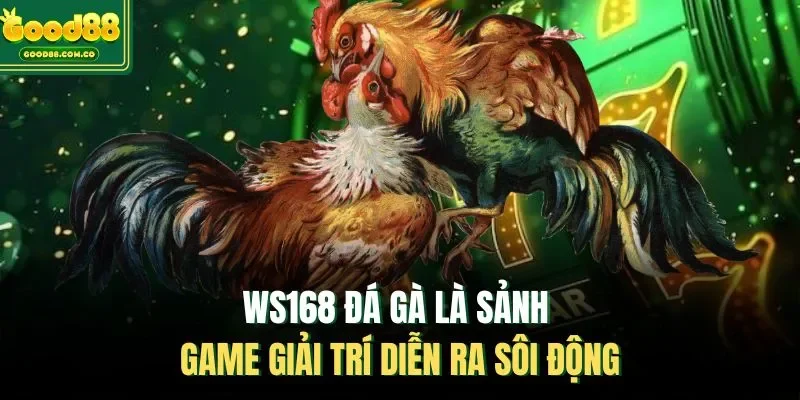WS168 đá gà là sảnh game giải trí diễn ra sôi động